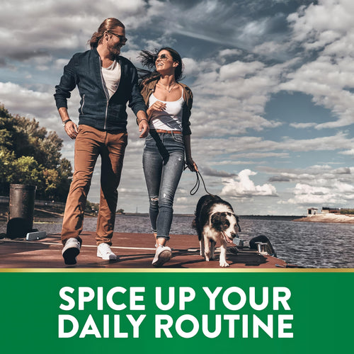 A young couple walks their dog on a pier by the water under a cloudy sky. A green banner reads 'SPICE UP YOUR DAILY ROUTINE'.