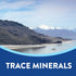 Infographic stating 'TRACE MINERALS' in a bold style, highlighting the importance of minerals in nutrition.