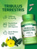 Tribulus Terrestris 1000 mg