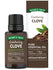Clove Essential Oil