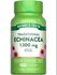 Hand scale image of Traditional Echinacea supplement, 1,300 mg, with 100 capsules, providing immune support.