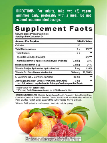 Supplement Facts panel for B-12 Energy Gummies, showing details for a bulk scale of 48 gummies.