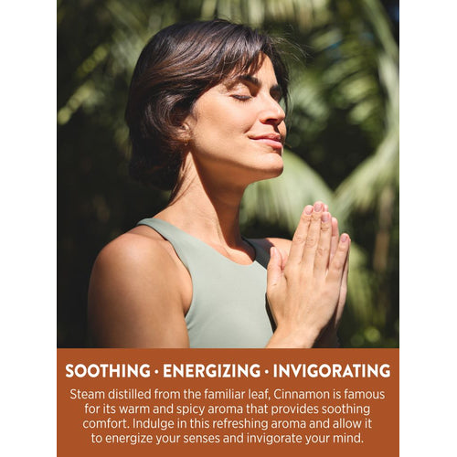 Adult woman with eyes closed, hands clasped, meditating outdoors. Graphic text: 'SOOTHING • ENERGIZING • INVIGORATING', 'Cinnamon is famous for its warm and spicy aroma that provides soothing comfort.'