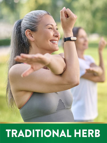 Estratto di Ginkgo Biloba 120 mg con Bacopa