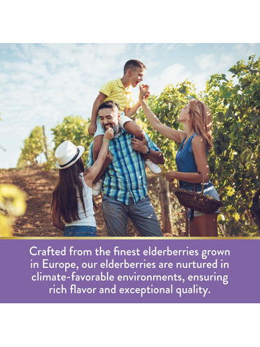 Holunderbeeren Immunkomplex mit Vitamin C und Zink | Kaubonbons