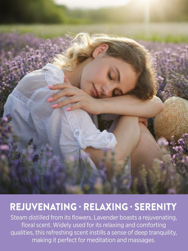 Lavender Essential Oil