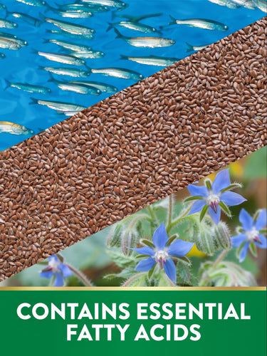 Fish in water, flax seeds, and borage flowers next to a green banner that states 'CONTAINS ESSENTIAL FATTY ACIDS'.