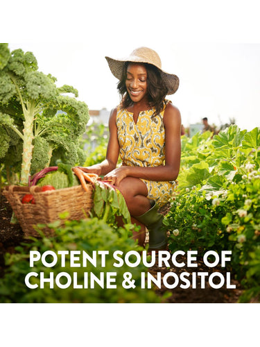 Sojalecithin 1200 mg