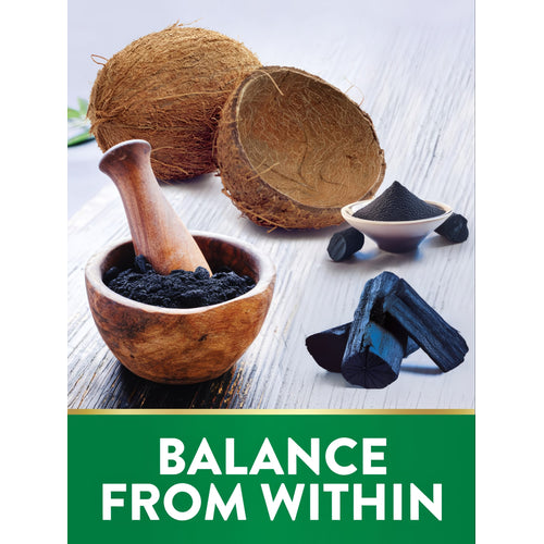 Coconuts, a mortar and pestle with charcoal powder, a bowl of charcoal powder, and charcoal lumps. Text: 'BALANCE FROM WITHIN'.