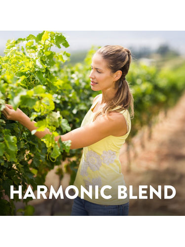 Complexe Resvératrol 1200 mg | 90 Gélules