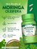 Moringa Oleifera | 60 unités