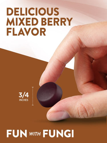 Juba de Leão | 60 Gummies