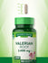 Valerian Root 2400 mg