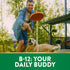 Smiling young man playing frisbee with a golden retriever in a sunny backyard. Text at bottom reads 'B-12: YOUR DAILY BUDDY'.