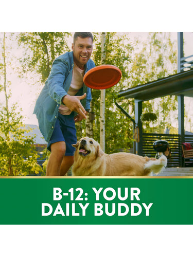 Smiling young man playing frisbee with a golden retriever in a sunny backyard. Text at bottom reads 'B-12: YOUR DAILY BUDDY'.