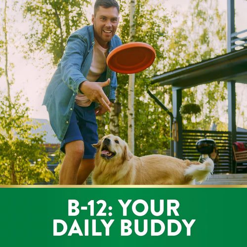 Smiling young man playing frisbee with a golden retriever in a sunny backyard. Text at bottom reads 'B-12: YOUR DAILY BUDDY'.