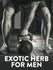Tribulus Terrestris 1000 mg