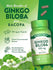 Ginkgo Biloba Extract 120 mg with Bacopa