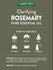 Clarifying Rosemary Pure Essential Oil graphic displaying usage methods: Diffuser, Massage, Yoga, DIY Projects, Bath/Shower, Aroma Spray.
