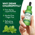 Chlorophyll 50 mg Liquid | Mint Flavor