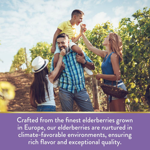 Infographic stating Elderberries grown in Europe, nurtured in climate-favorable environments, ensure rich flavor and exceptional quality.