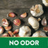 Odorless Garlic Softgels | 180 Count