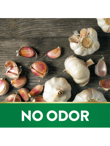 Odorless Garlic Softgels | 180 Count