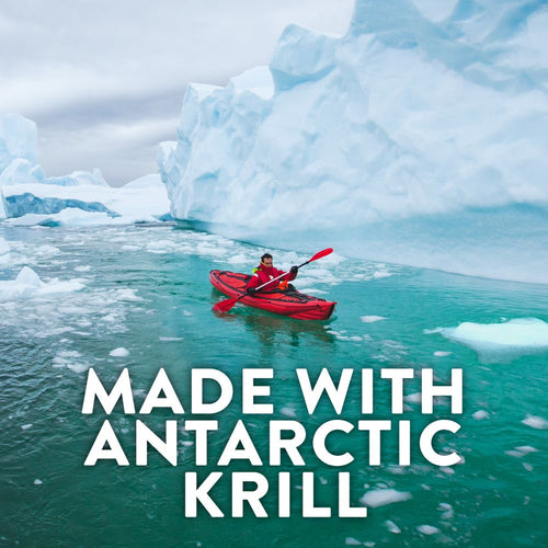 A person in a red kayak paddles in turquoise water with ice floes and large icebergs. Text: 'MADE WITH ANTARCTIC KRILL'.