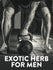 Tribulus Terrestris 1000 mg
