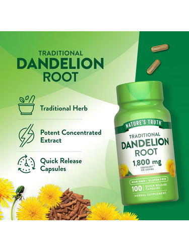 A hand holds a bottle of quick release capsules labeled as Dandelion Root 1,800 mg equivalent.