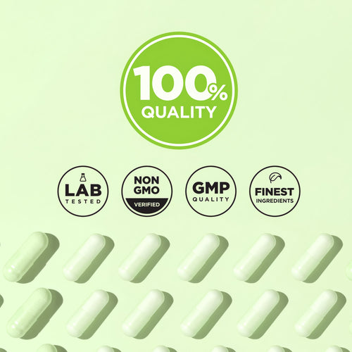 Infographic showing 100% quality, lab tested, non-GMO verified, GMP quality, finest ingredients.