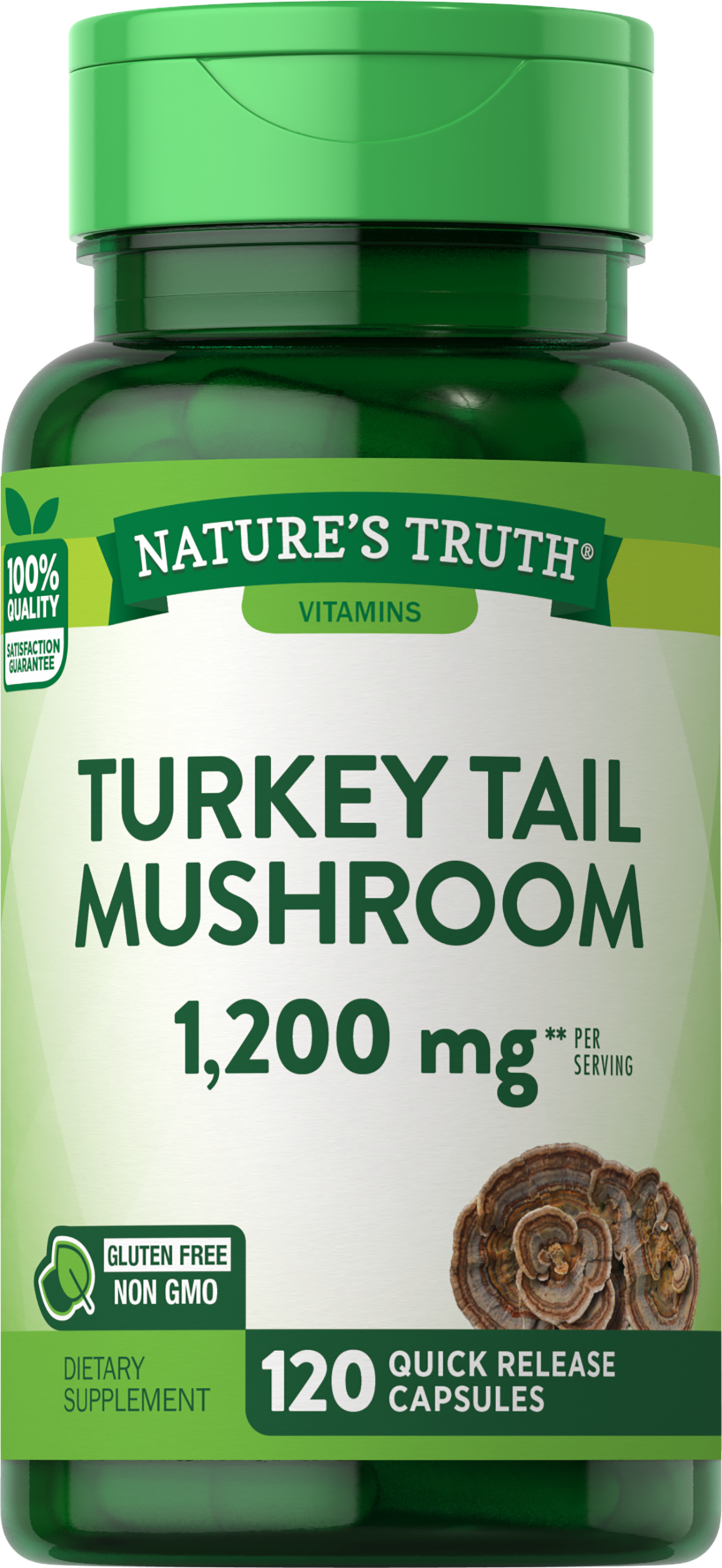Turkey Tail Mushroom 1200 mg